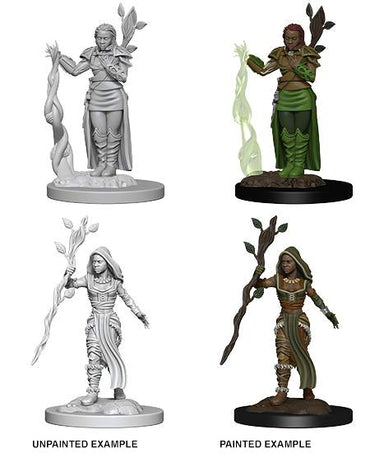 Human Druid
