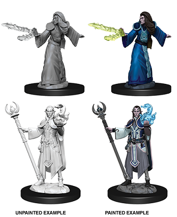 Elf Wizard