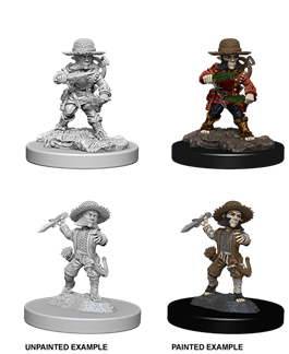 Male Halfling Rogue