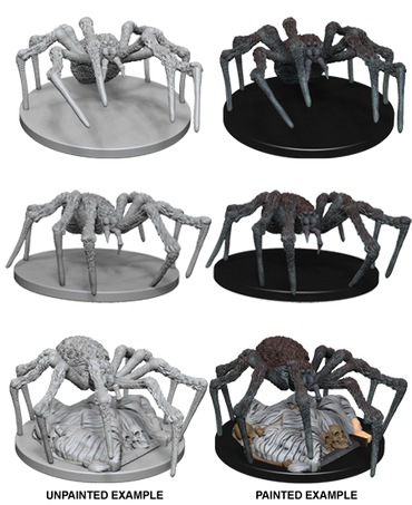 Spiders