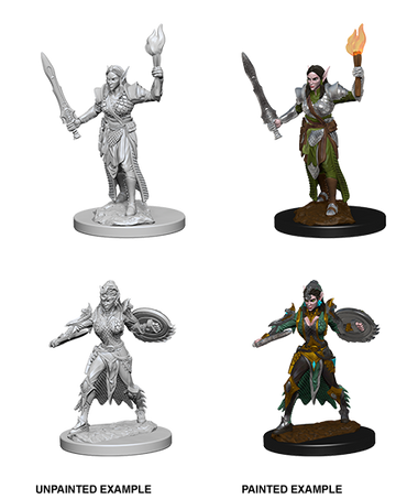 Elf Female Fighter