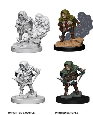 Halfling Rogue