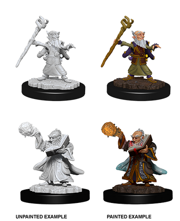 Gnome Wizard