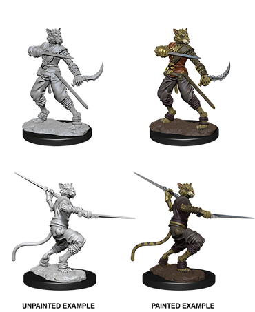 Tabaxi Rogue