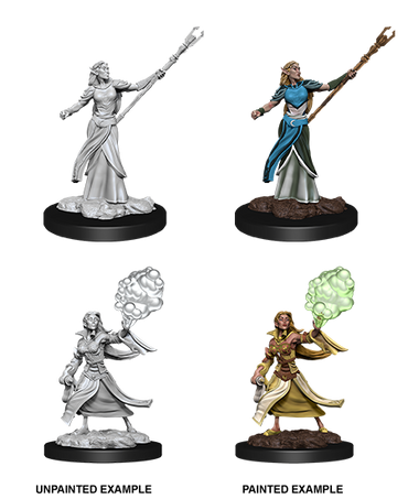 Elf Sorcerer