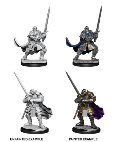Half-Orc Paladin Male