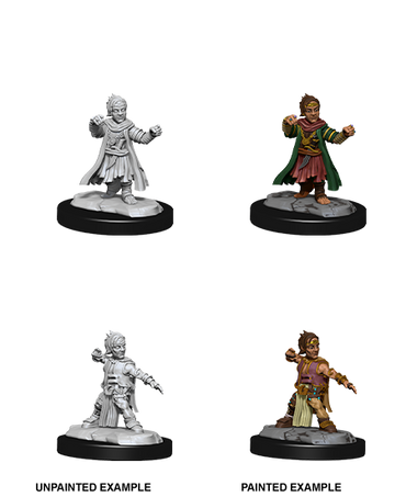 Halfing Monk Male