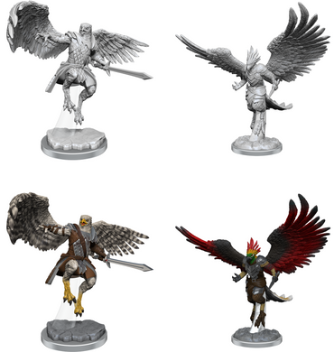 Aarakocra Paladins