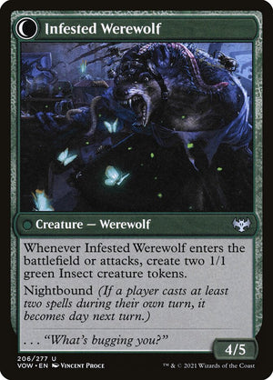 Infestation Expert (Back)
