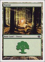 Forest (347)