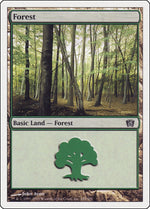 Forest (349)