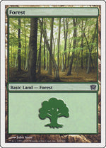 Forest (349)