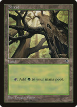 Forest (Skyward)