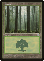 Forest (Ferns on Ground)