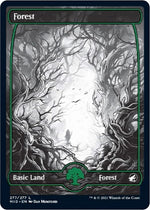 Forest (277)