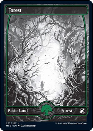 Forest (277)