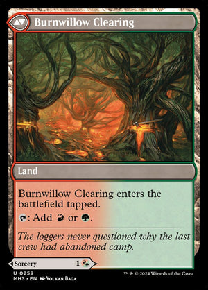 Stump Stomp (Back)