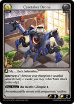 Caretaker Drone