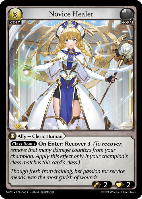 Novice Healer
