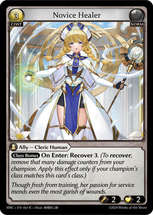 Novice Healer