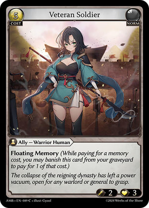 Veteran Soldier