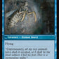 Delver of Secrets (Back)