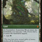 Turntimber Symbiosis (Back)