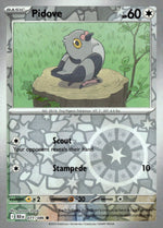 Pidove