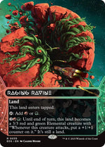 Raging Ravine (0035) (Borderless)