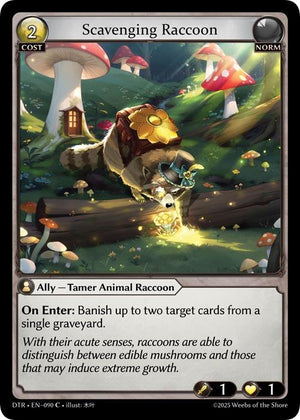 Scavenging Raccoon