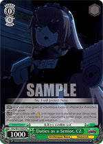 Duties as a Senior, CZ (HC)