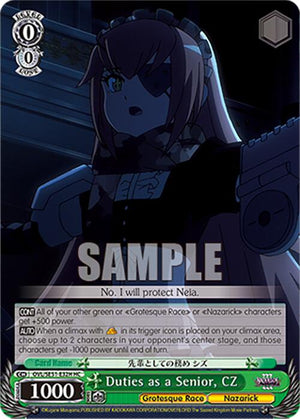 Duties as a Senior, CZ (HC)
