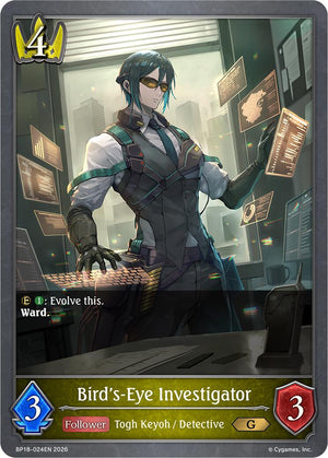 Bird's-Eye Investigator