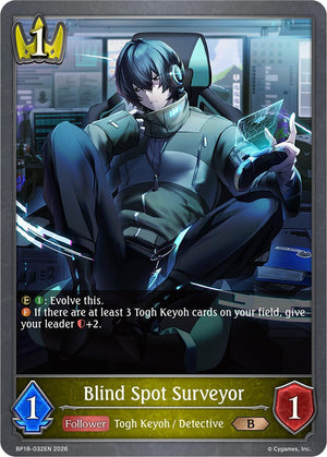Blind Spot Surveyor