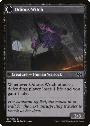 Ragged Recluse (Back)