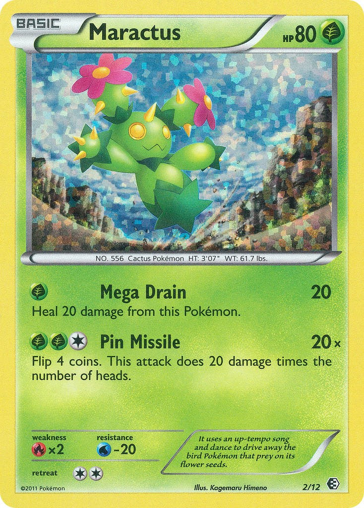 Maractus - 2/12