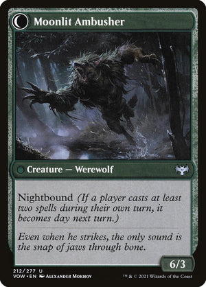 Oakshade Stalker (Back)