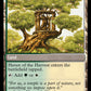 Strength of the Harvest (Back)