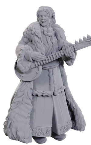 Ansalon Human Bard