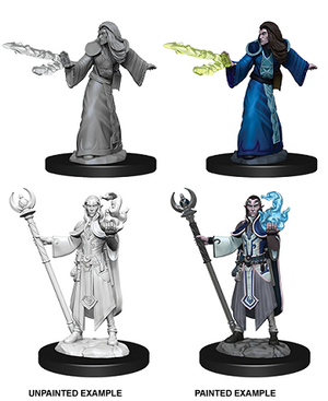 Elf Wizard