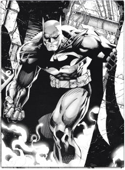 Dark Knight - Art Sleeves - 100CT