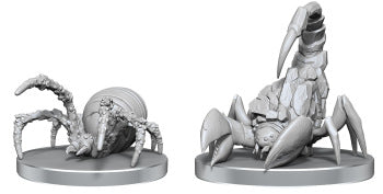 Cave Scorpion & Hunting Spider