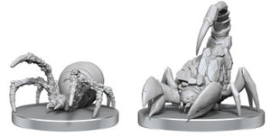 Cave Scorpion & Hunting Spider