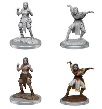 Half-Elf Monk Female