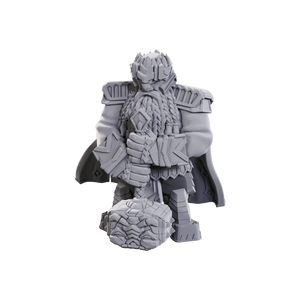 Male Dwarf Champion High-Level
