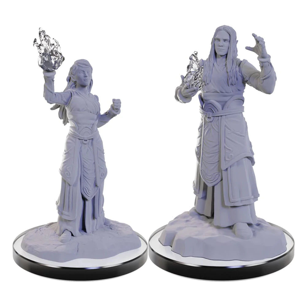 Elf Wizards