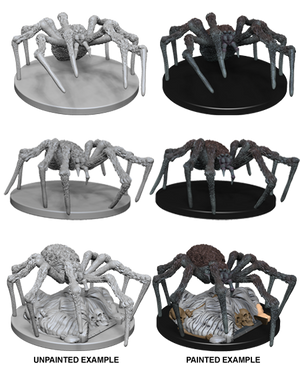 Spiders