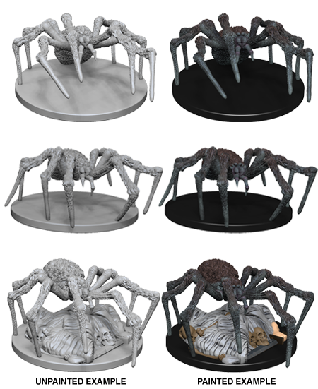 Spiders