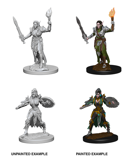 Elf Female Fighter