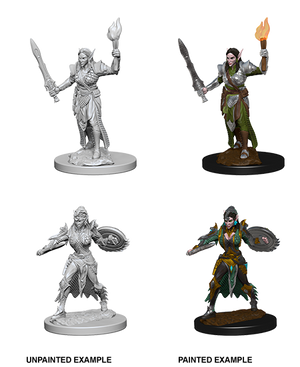 Elf Female Fighter